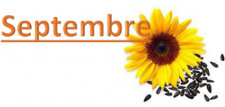 2017-09